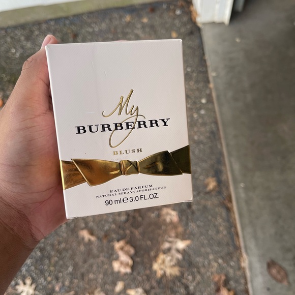 Burberry blush women’s perfume/cologne - Picture 1 of 2